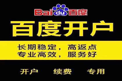 百度竞价与搜索引擎优化（SEO）的协同效应案例